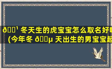 🌹 冬天生的虎宝宝怎么取名好听(今年冬 🐵 天出生的男宝宝起什么名字好)